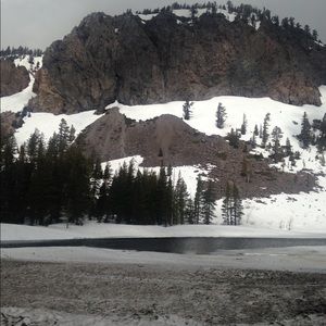 Meet your Posher, Diana